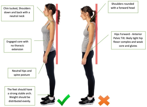 The Power of Spine Health: Why Posture Matters